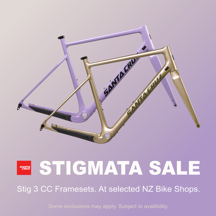 Santa Cruz - Stigmata 3 CC Frameset - SALE